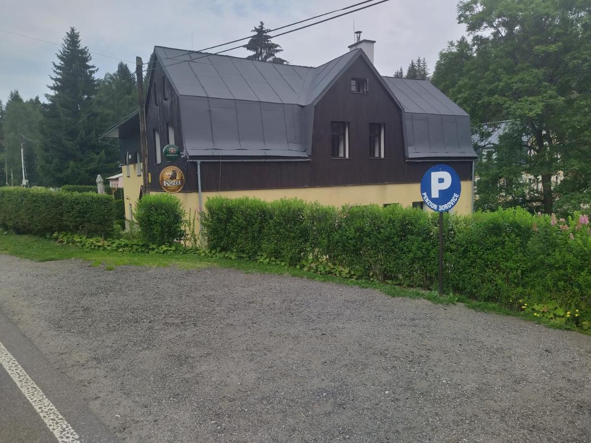 Penzion Borovice Josefův Důl u Jablonce nad Nisou Exterior foto